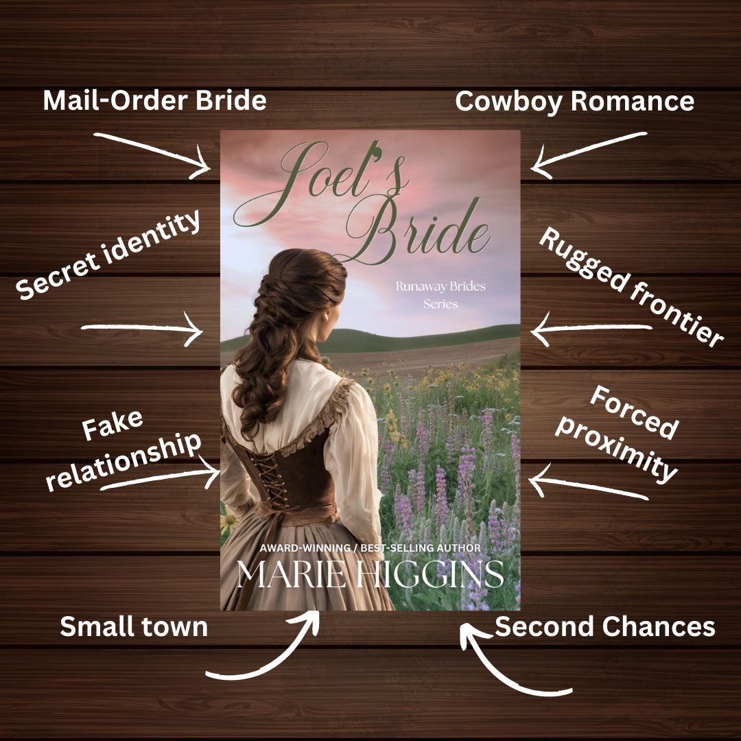 Joel's Bride: Mail-Order Brides